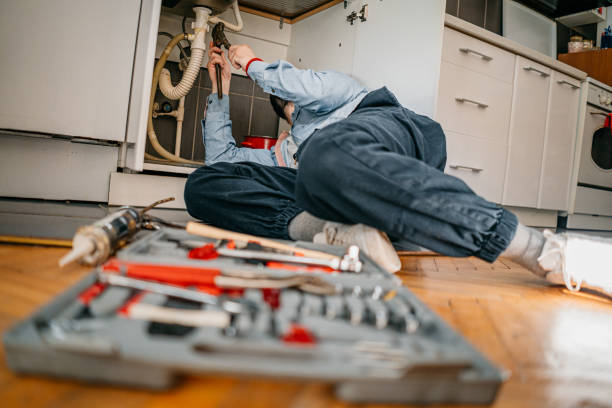 Best Plumbing Services Near Me  in Amargosa Valley, NV